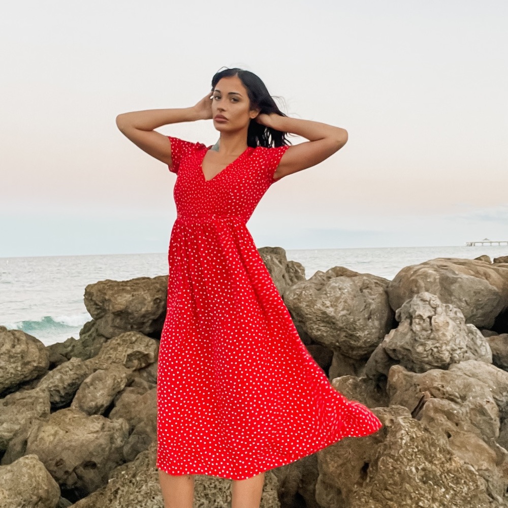 Zara Flowy Dress